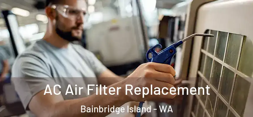 AC Air Filter Replacement Bainbridge Island - WA