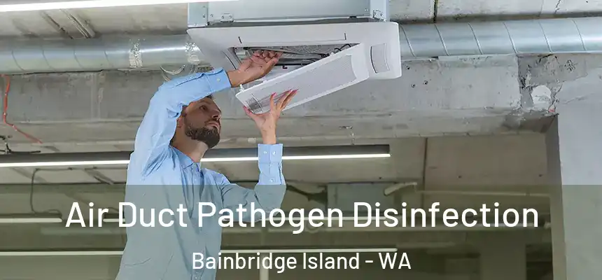 Air Duct Pathogen Disinfection Bainbridge Island - WA