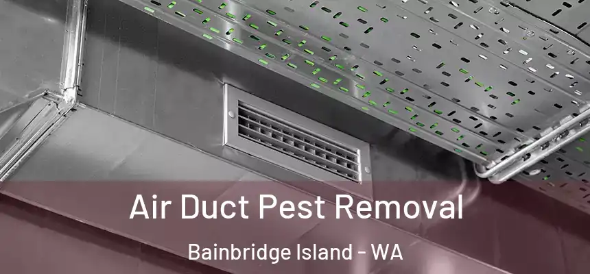 Air Duct Pest Removal Bainbridge Island - WA