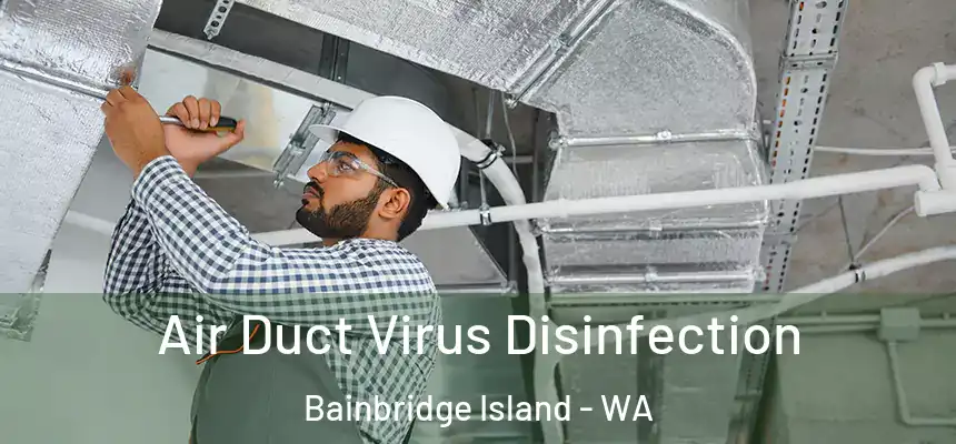 Air Duct Virus Disinfection Bainbridge Island - WA
