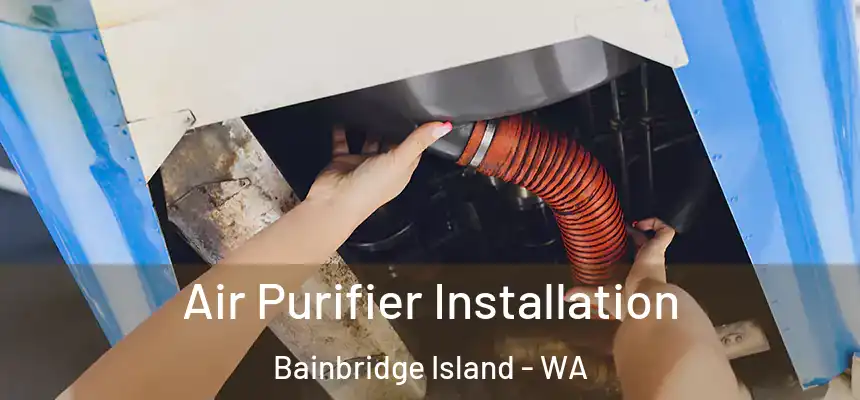  Air Purifier Installation Bainbridge Island - WA