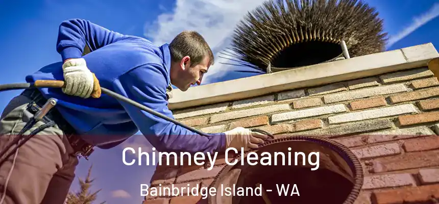 Chimney Cleaning Bainbridge Island - WA