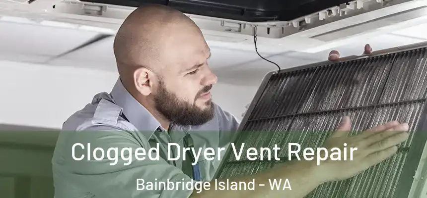 Clogged Dryer Vent Repair Bainbridge Island - WA