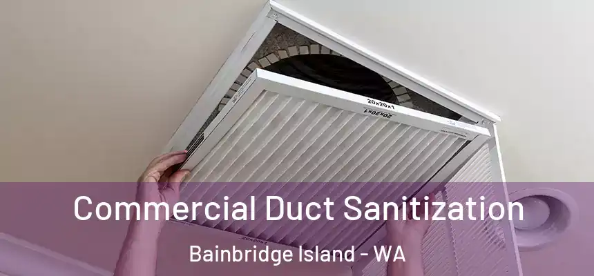Commercial Duct Sanitization Bainbridge Island - WA