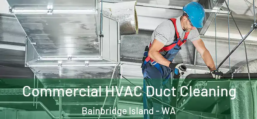 Commercial HVAC Duct Cleaning Bainbridge Island - WA
