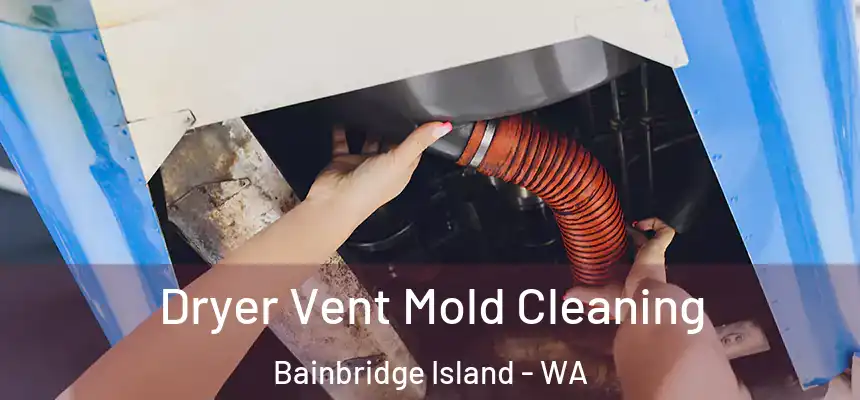  Dryer Vent Mold Cleaning Bainbridge Island - WA