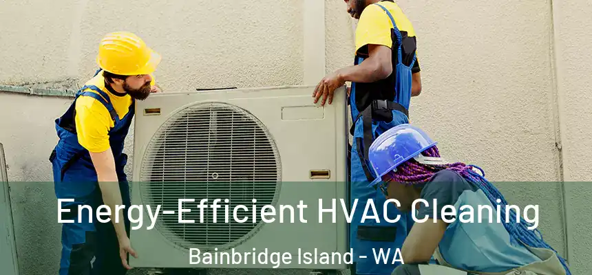 Energy-Efficient HVAC Cleaning Bainbridge Island - WA
