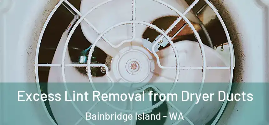  Excess Lint Removal from Dryer Ducts Bainbridge Island - WA