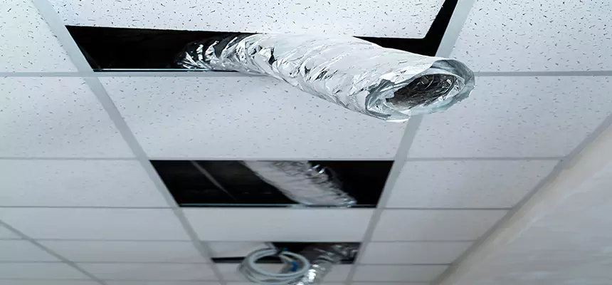 Our Air Duct Pet Hair Removal Services in Bainbridge Island, WA