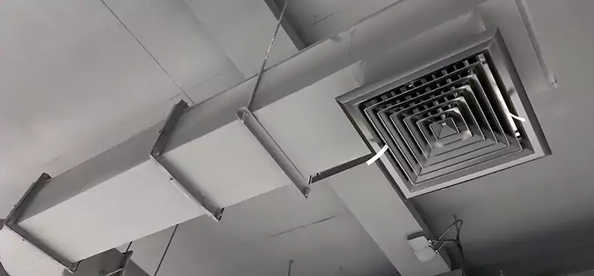 Our Pest Removal From Ducts Services in Bainbridge Island, WA