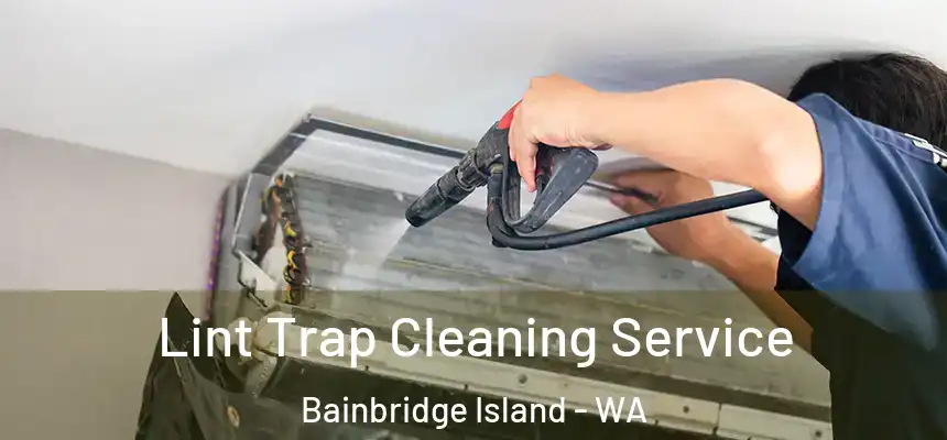 Lint Trap Cleaning Service Bainbridge Island - WA