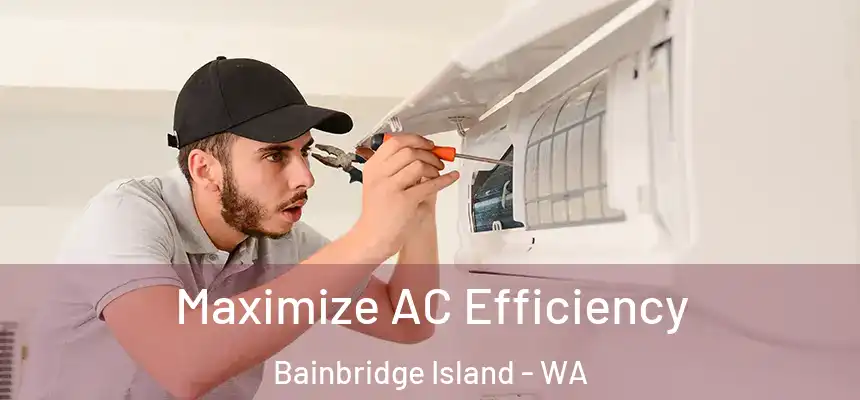  Maximize AC Efficiency Bainbridge Island - WA