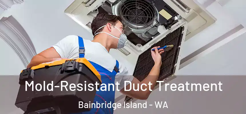 Mold-Resistant Duct Treatment Bainbridge Island - WA