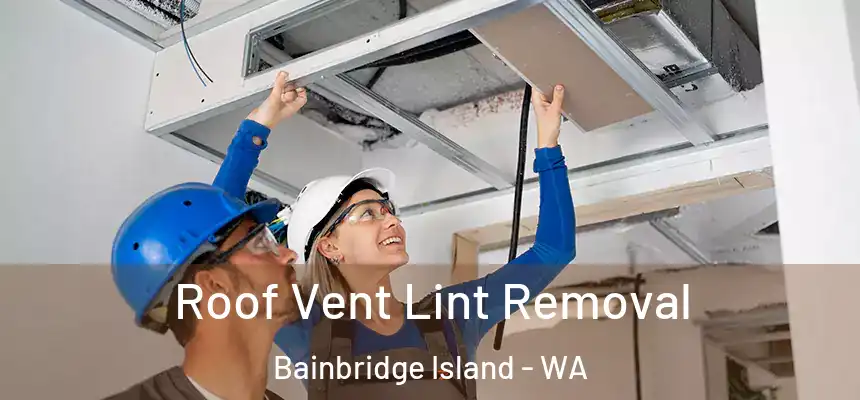  Roof Vent Lint Removal Bainbridge Island - WA