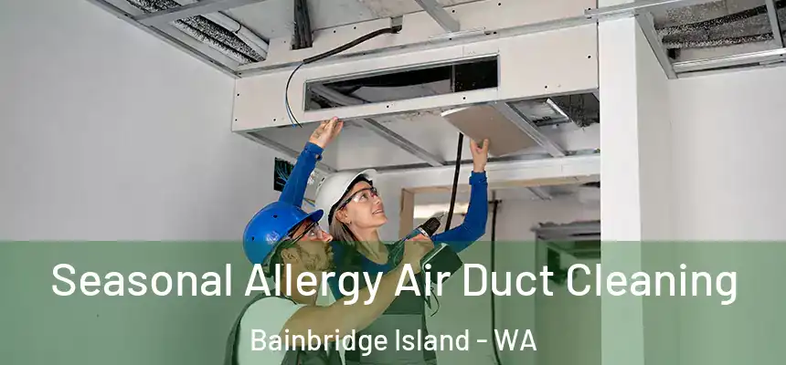 Seasonal Allergy Air Duct Cleaning Bainbridge Island - WA