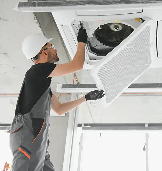 About Air Duct Rodent Removal in Bainbridge Island, WA