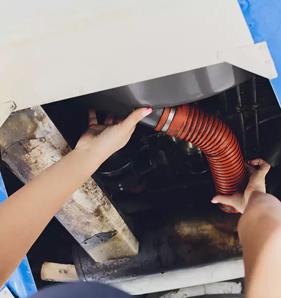 About Air Duct Virus Disinfection in Bainbridge Island, WA