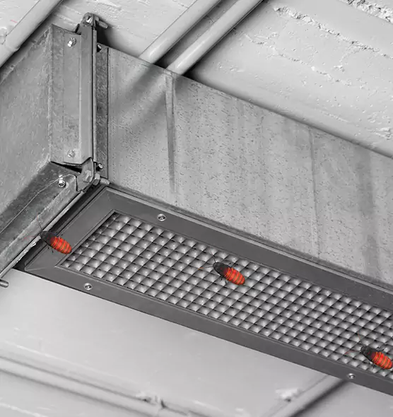 Affordable Insect Removal from Air Ducts in Bainbridge Island, WA