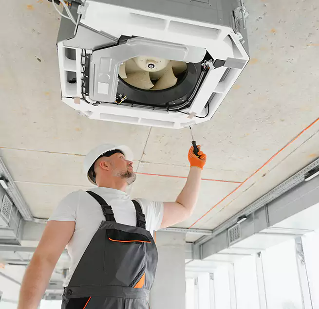 Why Homeowners & Businesses Trust Us in Bainbridge Island, WA?