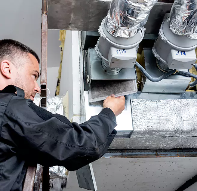 Why Homeowners & Businesses Trust Us in Bainbridge Island, WA?