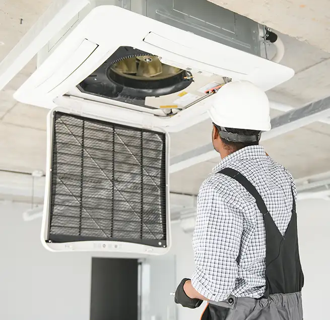 Why Homeowners & Businesses Trust Us in Bainbridge Island, WA?