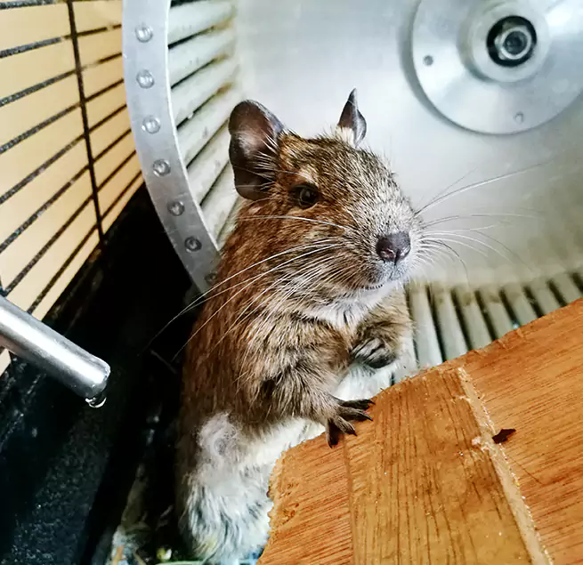 Why Homeowners & Businesses Trust Us Bainbridge Island, WA