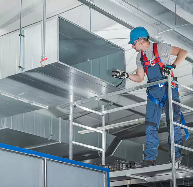 Why Homeowners & Businesses Trust Us in Bainbridge Island, WA?