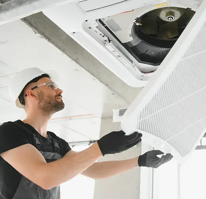 Why Homeowners & Businesses Trust Us in Bainbridge Island, WA?