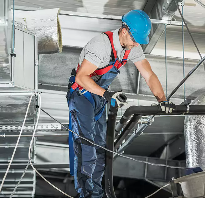 Why Homeowners & Businesses Trust Us in Bainbridge Island, WA?