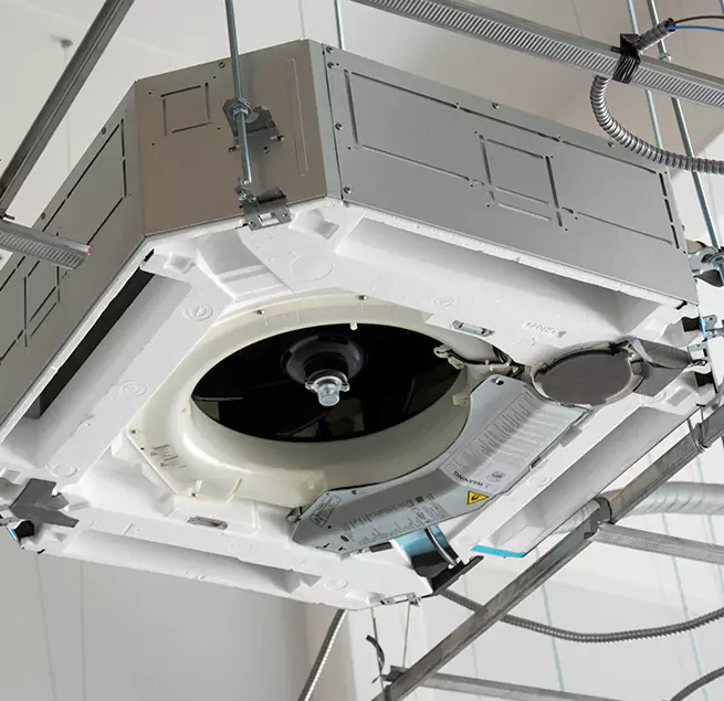 Why Homeowners & Businesses Trust Us in Bainbridge Island, WA?