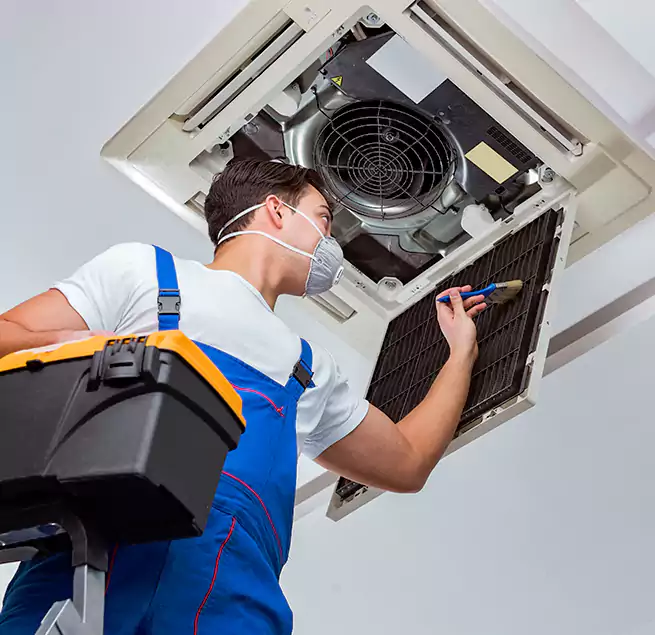 Why Homeowners & Businesses Trust Us in Bainbridge Island, WA