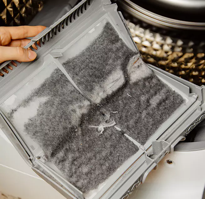  Why Homeowners & Businesses Trust Us Bainbridge Island, WA?