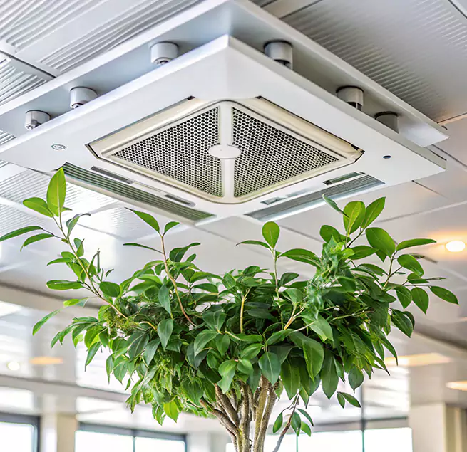 Why Homeowners & Businesses Trust Us in Bainbridge Island, WA