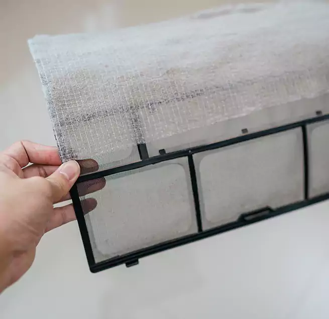 Why Homeowners & Businesses Trust Us in Bainbridge Island, WA?