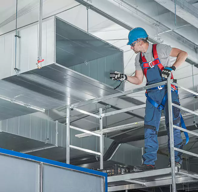 Why Homeowners Businesses Trust Us in Bainbridge Island, WA