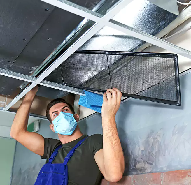 Why Homeowners Businesses Trust Us in Bainbridge Island, WA