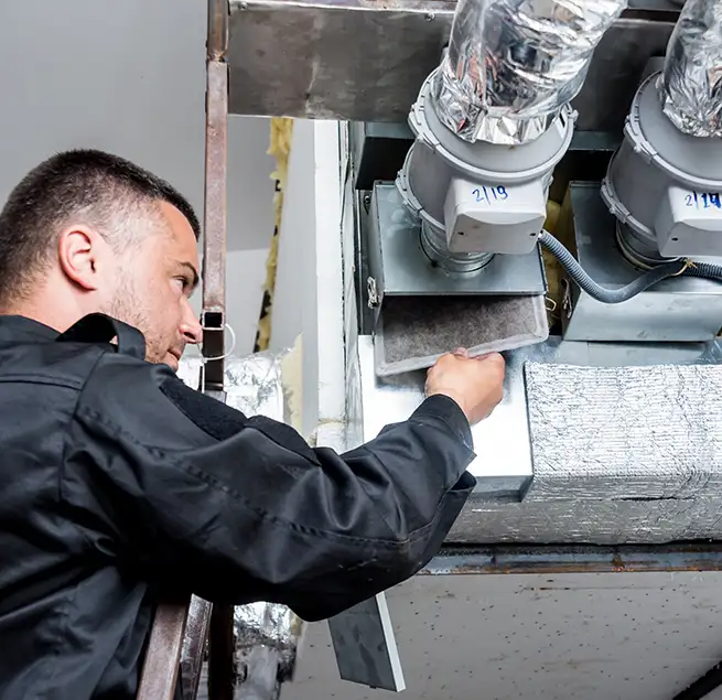 Why Homeowners & Businesses Trust Us in Bainbridge Island, WA?