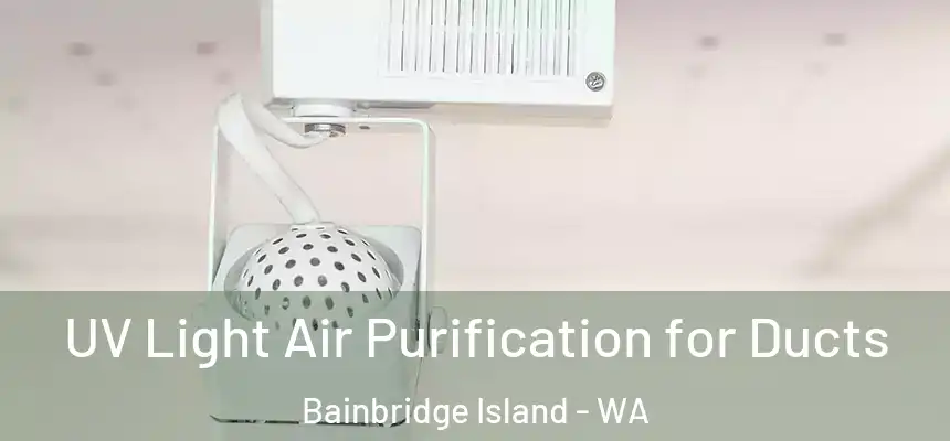 UV Light Air Purification for Ducts Bainbridge Island - WA