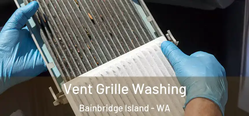 Vent Grille Washing Bainbridge Island - WA