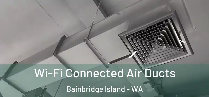 Wi-Fi Connected Air Ducts Bainbridge Island - WA